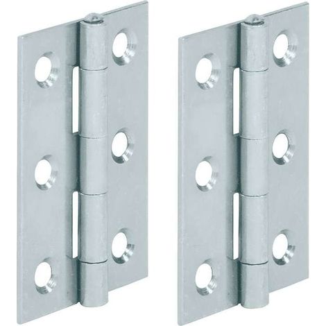 Lot de 2 charnières plates en acier 50 x 39 mm – Pour meubles en bois – Charge maximale 30 kg – Pour portes de placard et étagères de cuisine (1/2)