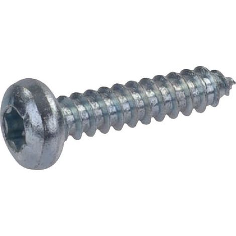 Blechschr. 4,8X22-DIN7981-C ve WOLF-GARTEN 0015664