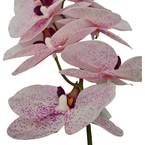 Fiore artificiale ramo decorativo di Orchidea Phal Real bianco/fucsia da 50 cm (1/3)
