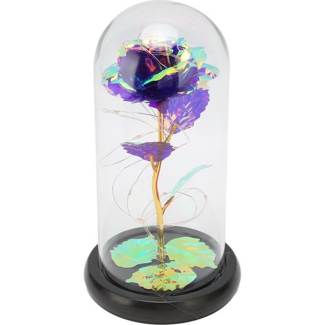 Rose sous cloche en verre illuminée par des LED artificielles - Cadeau idéal pour femme, maman, grand-mère, épouse (violet) (1/5)