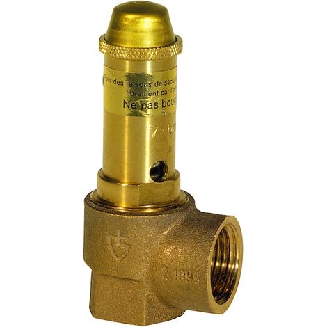 Thermador – Soupape de sécurité sanitaire bronze 10 bar – Raccord femelle 3/4" – Protection contre surpression – Pour générateur d'eau chaude (1/4)