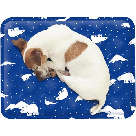 GROOFOO Tapis rafraîchissant pour Chien, Durable, 40x50cm Coussin de Refroidissement pour Animal Domestique, Lavable, Tapis de Glace pour Chat, Auto-Refroidissement (1/5)