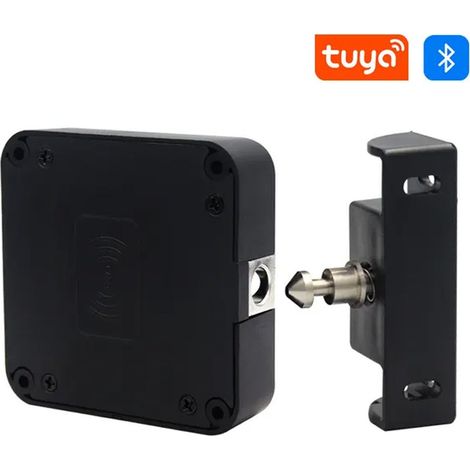 Tuya Serratura Elettronica per Armadietti Smart Bluetooth