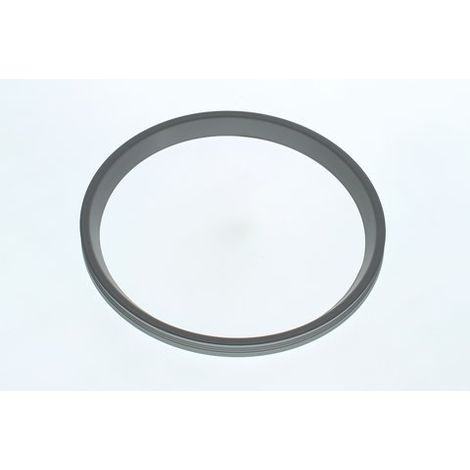BOSCH Lippendichtung DN160, 8737713334 (1/2)