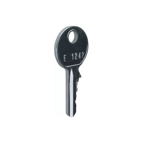 Hager Ersatzschlüssel f.FZ597 FZ596 (1/2)