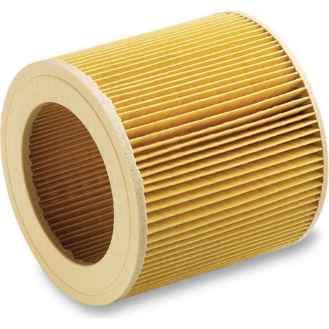 Filtro a cartuccia per Karcher aspiratutto MV2 MV3 (1/2)