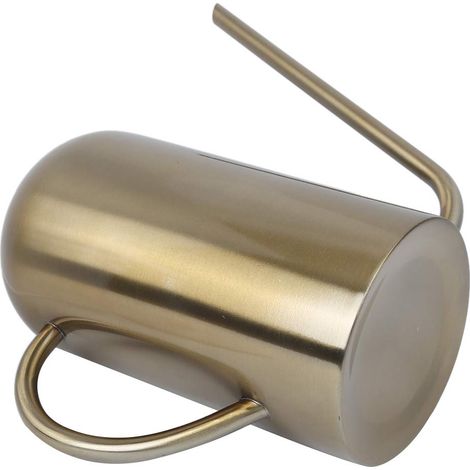 Arrosoir à long bec en acier inoxydable pour jardin, outil d'irrigation, d (1/5)