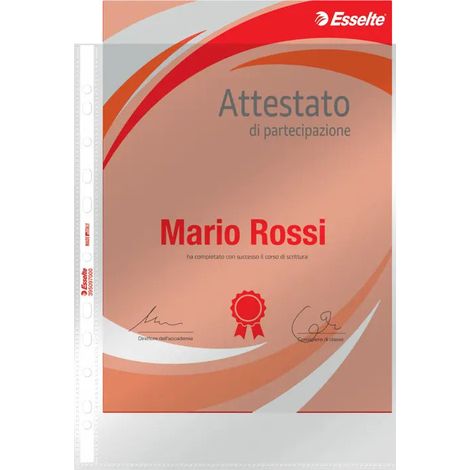 Esselte Universal-Lochhüllen Deluxe PPL Glänzend A4 Format 22x30 Cm Packung Mit 50 Stk.