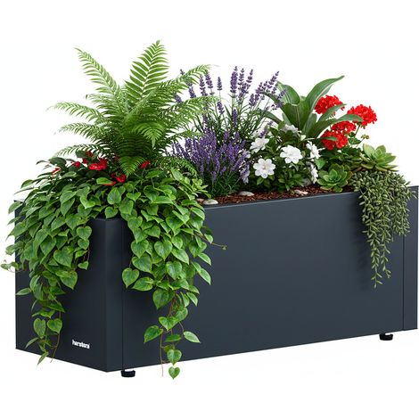 Herstera Garden Pflanzkasten Balcony 60x25x25 cm