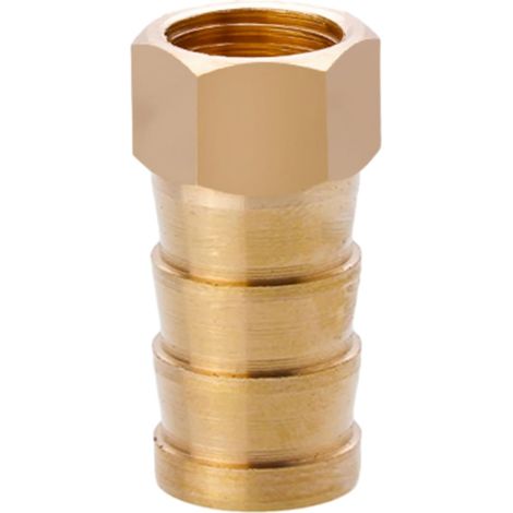 Raccord cannelé en laiton 1/2", filetage femelle, épisseur de métaux, barbillons, raccord tuyau, connecteur adaptateur pour air, eau, huile (épaisseur 8 mm) Filetage Femelle G1/4 14MM (1/5)