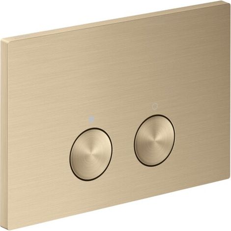 AXOR 42530140 Plaque de commande Axor FlushPlate BBR