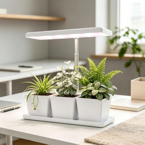 Lampada LED per piante 10 W a spettro completo con 3 vasi bianchi OKWISH (1/5)