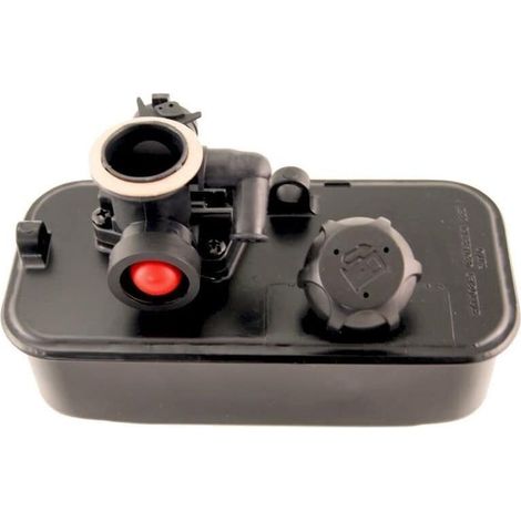 Carburatore e serbatoio del carburante BRIGGS & STRATTON (1/5)