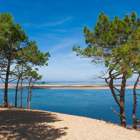Tableau sur toile bassin et arbres 90x90 cm - Impression sur Toile Murale Décorative - Image imprimée en HD sur Toile - Toile sur Châssis en Bois FSC - Fabriqué en France
