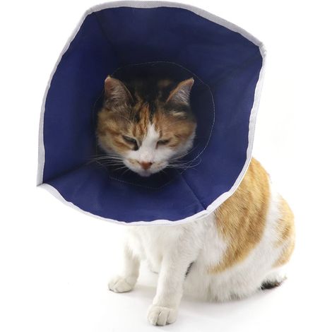 Collier de récupération souple pour chats, spécialement conçu pour la protection et la cicatrisation des plaies.