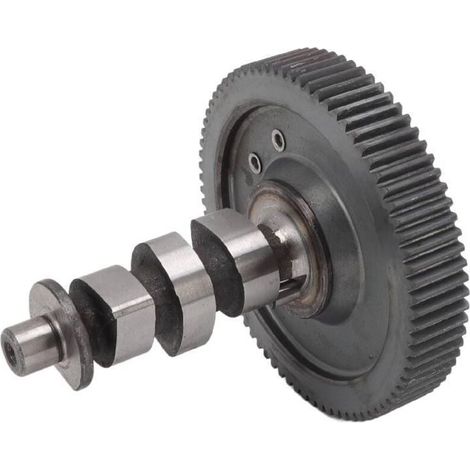 Arbre à cames de moteur, accessoires d'arbre à cames faciles à installer, conception universelle en acier forgé durable, match 170F/173F (1/5)