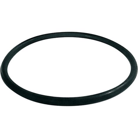 Watts – Joint torique RG OR pour filtre fioul bitube – Étanchéité optimale – Compatible RG 2 et RG Z – 22L0199013