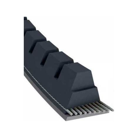 Courroie tondeuse XPA800 trapézoïdale crantée  12,7 x 817 mm (1/5)