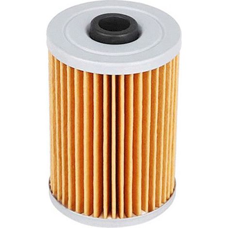35-8M0093688 866171A1 8M0093688 35-89266 Élément carburant compatible Mercury (1/4)