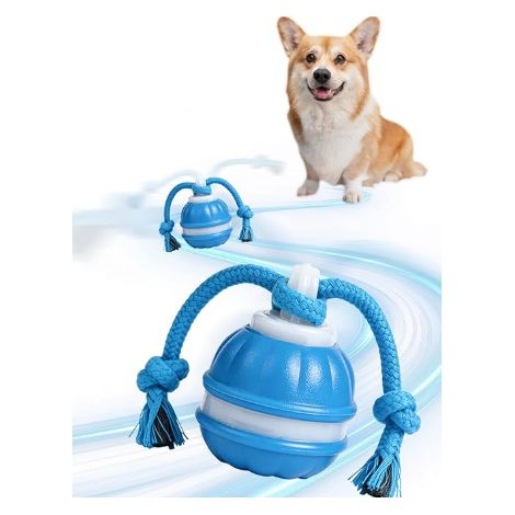 Balle Interactive pour Chien et Jouet Interactif Électrique Indestructible, Balle pour Chien avec 3 Modes de Jeu, Télécommande, Sons d'oiseaux et Queue, pour Petits Chiens, Chiots et Chats (1/5)