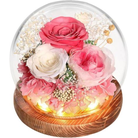 Caja de regalo con flores preservadas: cúpula de cristal esférica con tira de LED integrada un regalo práctico para cumpleaños y San Valentín. Estilo 9