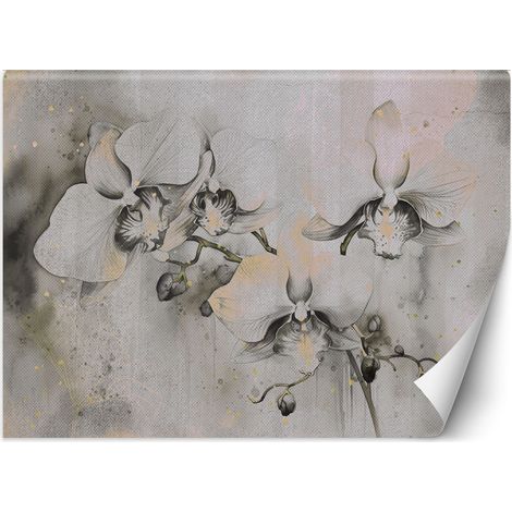 Fototapete Blühende Orchideen abstrakt 150x105 cm (1/5)