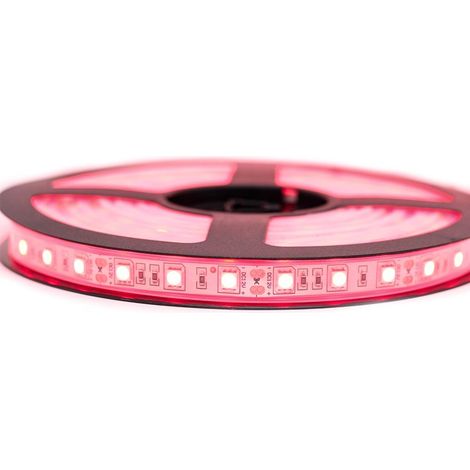 Kit Ruban Professionnel 5050 - 60 leds/m - 5 mètres rouge étanche (IP67) Longueur: 5 mètres - Transformateur: Alimentation Inclus