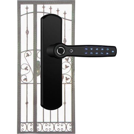 Verrouillage intelligent Verrouillage de porte intelligent double empreinte digitale et mot de passe et verrouillage Bluetooth Appliquer Poignée for la porte métallique creuse en fer forgé d22 Serrure (1/5)