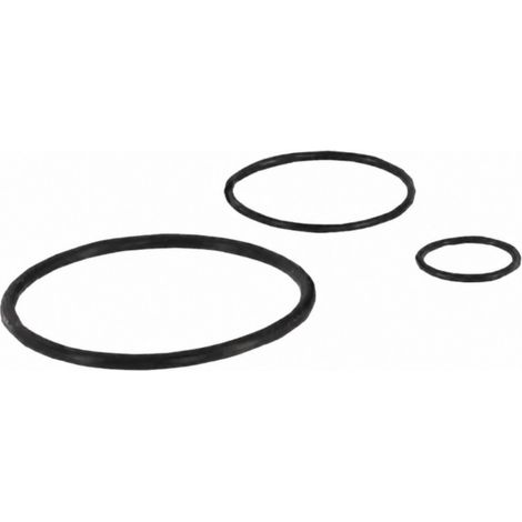 20 O-Ringe für DL300S - DL400S