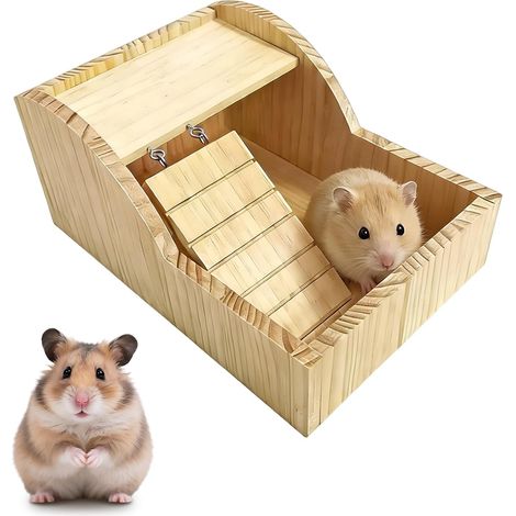 Récipient en Bois avec Échelle - Bac à Sable pour Hamster - Convient aux Cobayes, Chinchillas et Hérissons comme Lieu Polyvalent pour se Baigner, Explorer, Jouer, se Reposer et se Détendre (1/5)
