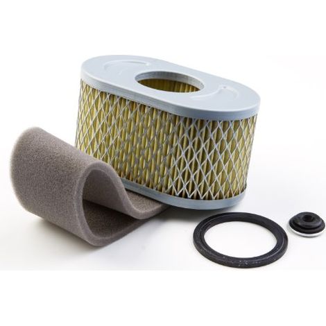 Filtro Air BRIGGS et STRATTON 797032 - 797033 - 798504 (1/4)