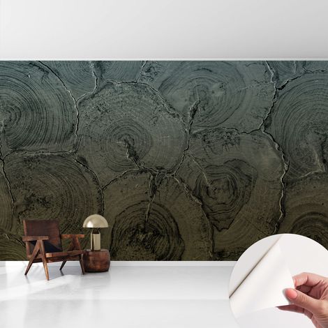 Papier peint adhésif décoratif avec colle pour salon chambre à coucher et bureau Design moderne et facile à poser Cernes de bois 416x254 cm (1/5)