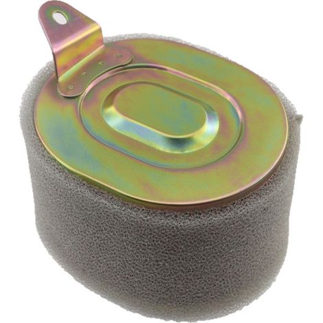 élément filtrant pour scooter Qianjiang Langyue Cross Yueyue Crown QJ125T-9B-9E (1/5)