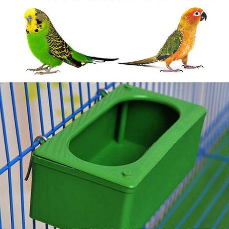 Mangeoire suspendue en plastique pour cage, abreuvoir et mangeoire pour perruches et pigeons, bain pour petits perroquets. (1/4)