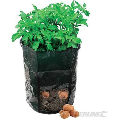Sacchetto in tessuto di polietilene per piantare patate 360 x 510 mm Silverline