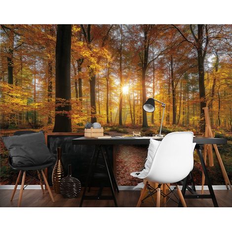 Fototapete Wald Bäume Natur, für Wohnzimmer und Schlafzimmer, 150 x 105 cm – Komplettset inkl. Kleister & Anleitung (1/5)