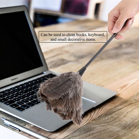 Mini plumeau en plumes d'autruche fait main, lavable et réutilisable, pour livres, clavier, bureau et maison. (1/5)
