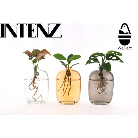 Mix de 3 Plantes d'Intérieur Hydroponiques Décoration Murale en Verre Ø 7 cm H 10 cm - PANGIVO