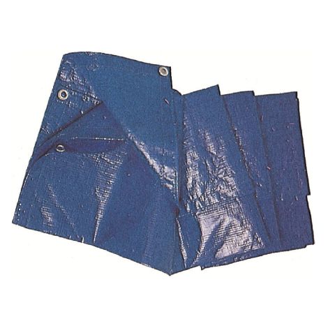 Bache polye'thyle'ne standard bleu 6x8 m couverture e'tanche avec illets et renforce'e sur les bords