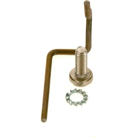 BOSCH Elettrodo di massa, 87290124090