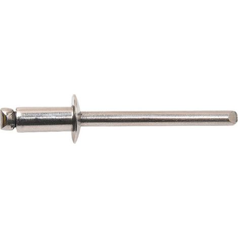 Set mit 50 Blindnieten aus Edelstahl A2 TRS Standard DEGOMETAL - 4,8 x 16 mm