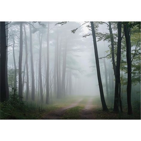 Papier peint forêt dans la brume, nature et paysage – 150 x 105 cm papier peint intissé Wallarena (1/4)