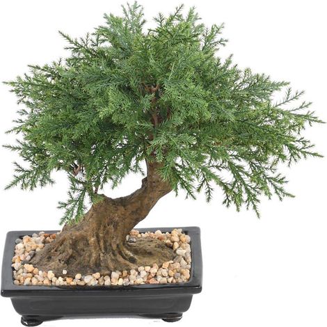 Bonsaï Genévrier Artificiel H 30 cm D 30 cm en pot - dimhaut: H 30 cm - couleur: Vert