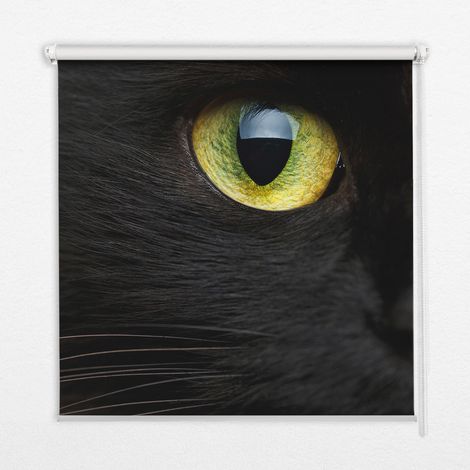 Innenrollo Fensterrollo - Rollo ohne Bohren - Sichtschutzrollo - Lichtdurchlässiges Rollo - Rechteckiges - Rollo - (120 cm x 140 cm) - Katzenaugen (1/5)