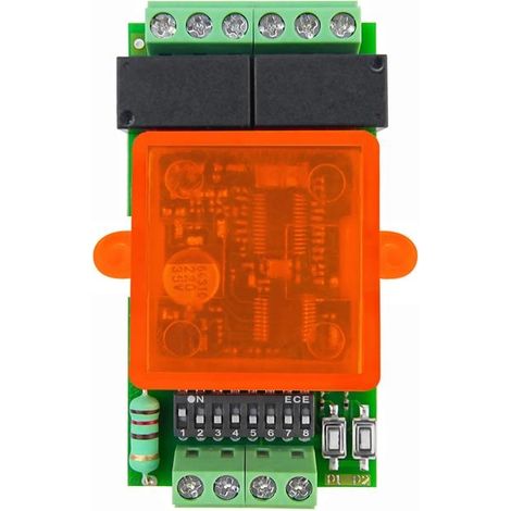 NOLOGO RX2-LUCI Ricevitore Scheda Bi-canale Per Luci Dispositivi 5A 433.92 Mhz