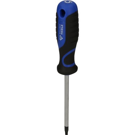 Brilliant Tools BT034908 Schraubendreher TORX, T25 (1/5)
