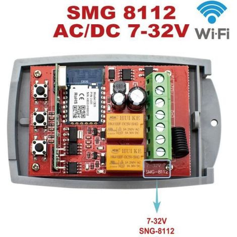 Récepteur Porte Garage - WiFi + RF 433 MHz - AC 85-250 V / DC 7-32 V - 2 Canaux - Compatible Alexa Google Home - 1 Pièce
