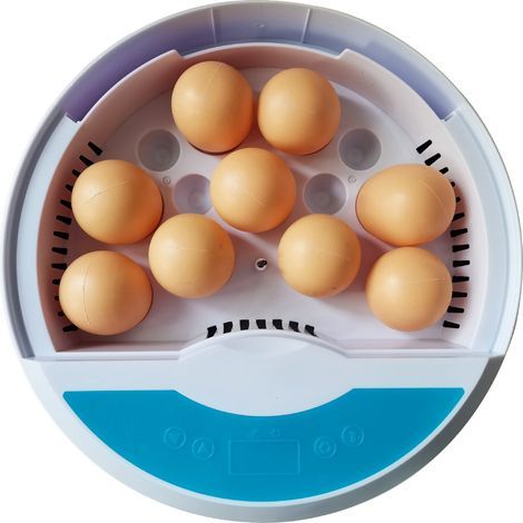 Inkubator für 9 Hühnereier mit Temperaturregelung, Schildkröteneierbrüter mit LED-Digitalanzeige, kleiner Brutapparat für Hühner, Enten, Wachteln
