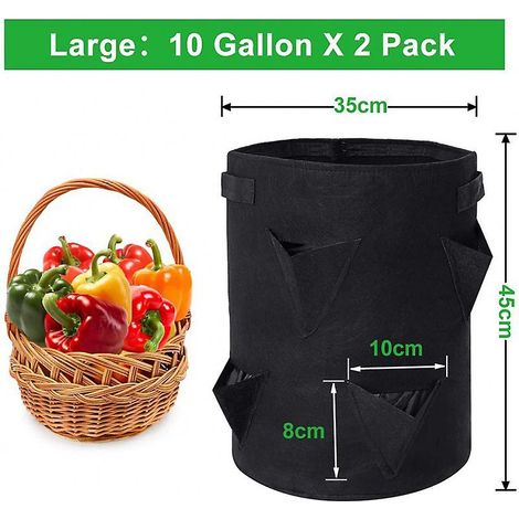 Ensemble de 2 sacs de plantation pour fraisiers noirs (1/3)