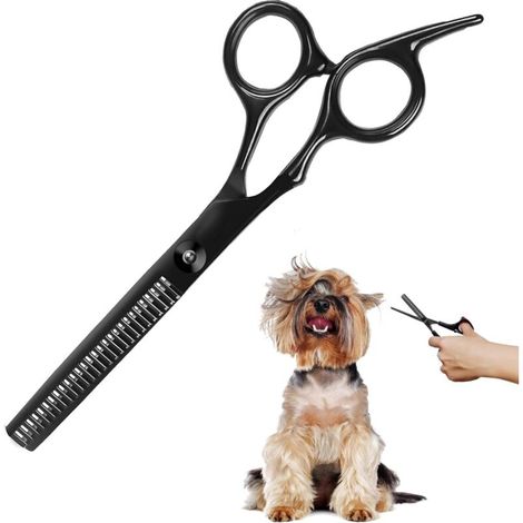 Ciseaux de toilettage pour chiens et chats – acier inoxydable chirurgical, lame précise 14 cm, ergonomiques et antidérapants (1/5)